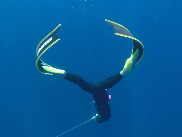 ultrafins performance