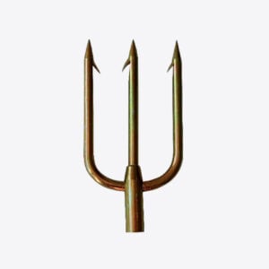 Mastrosub Trident Φ6